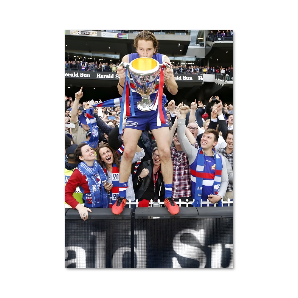 Poster Afl grand